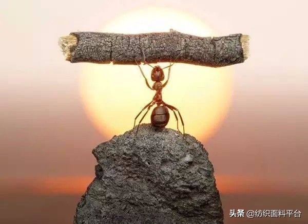 华孚子公司最新消息,华孚色纺龙头企业