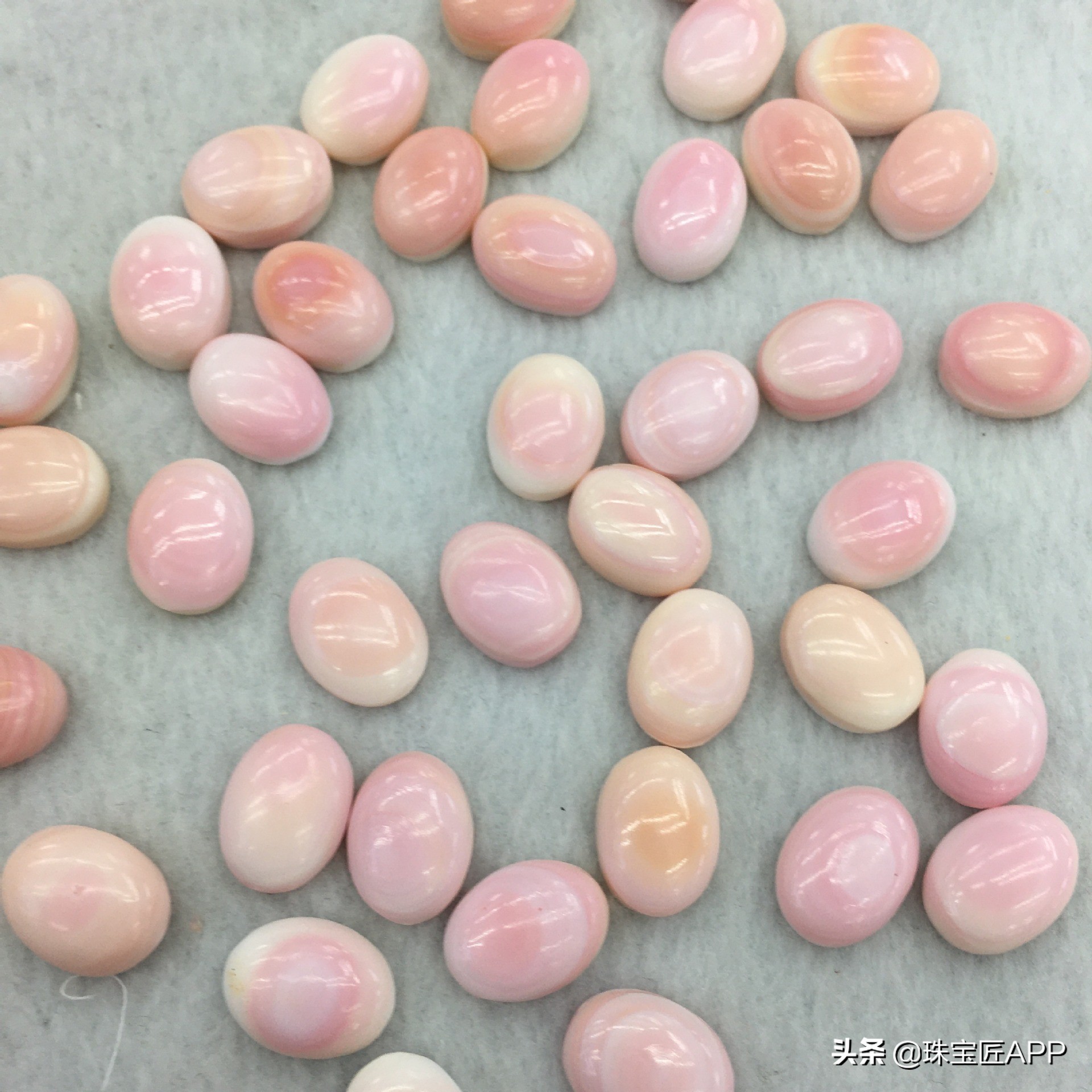 贝壳手工珠宝首饰,贝壳类珠宝首饰