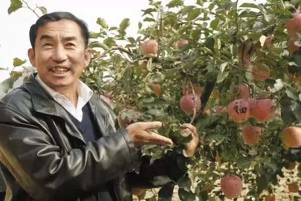 瓦房店真是个好地方,爱上大连这座城