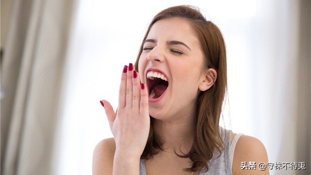 有趣的100个冷门知识,10个有意思的冷门知识