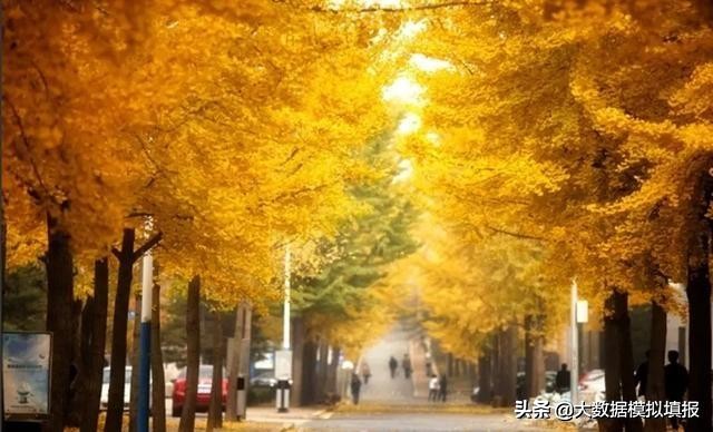 大数据带你看大学华南理工,大连理工大学评分