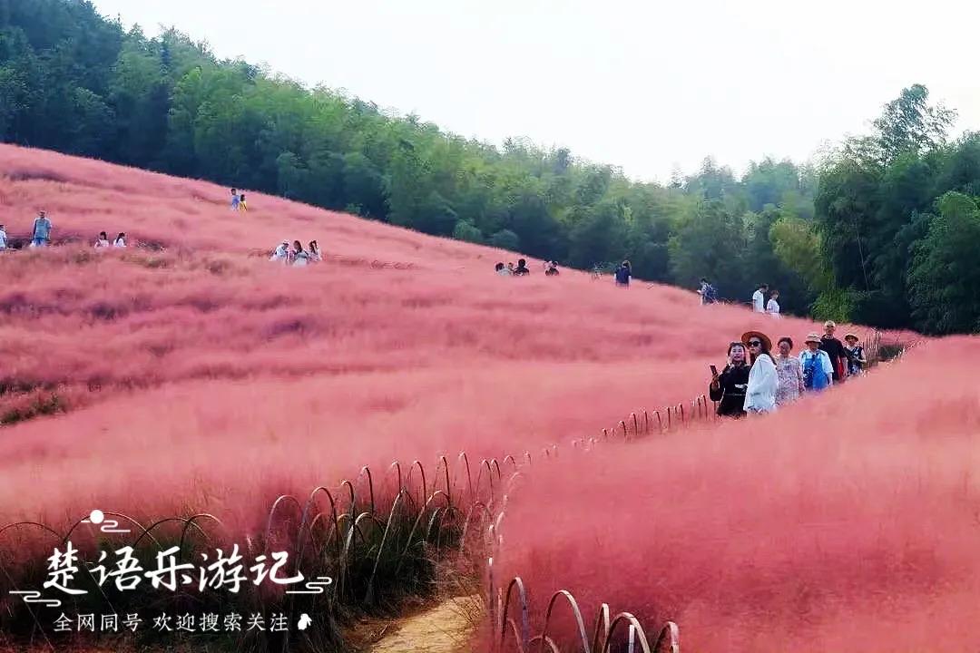 宁波四明山最美古村,宁波又一古镇走红景色不输姑苏