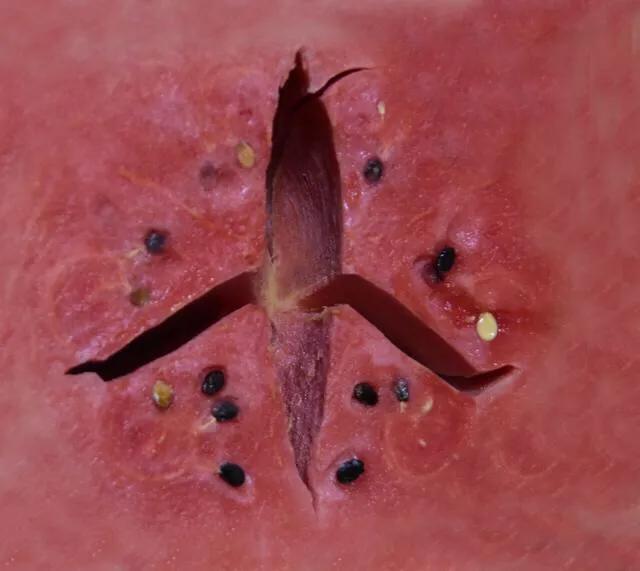 中秋过节团圆饭,中秋晒团圆美食