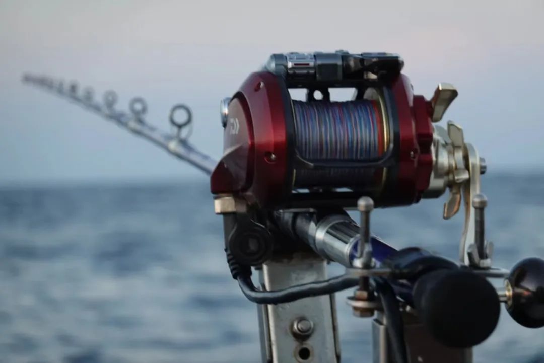 野奢不被鄙视?问问那些爱钓鱼的老孩子们,他们有活蹦乱跳的经验