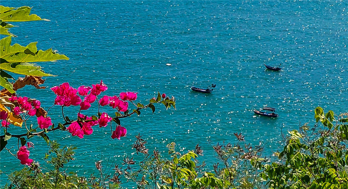 广西北海涠洲岛的火山岛介绍,涠洲岛是中国最年轻的火山岛吗