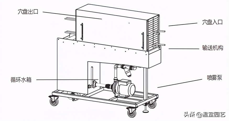 穴盘育苗烂根怎么解决,育苗穴盘处理