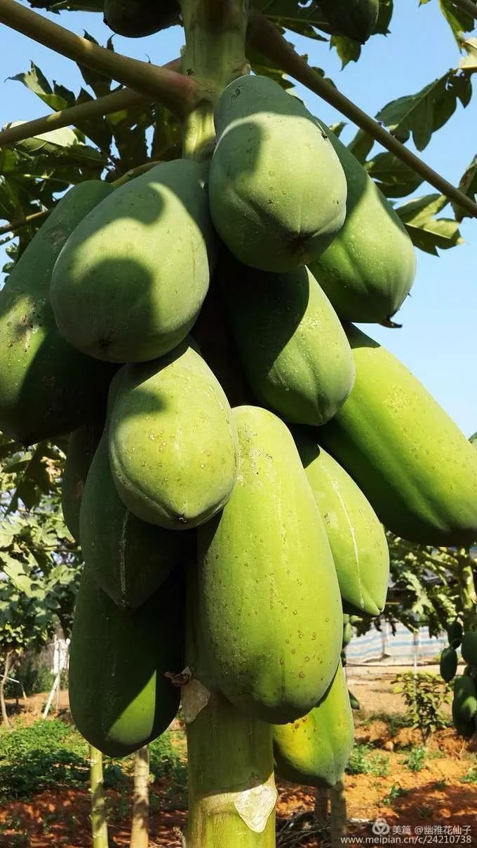 福建长汀最好玩的地方在哪里,福建长汀最好玩的地方在哪里呀