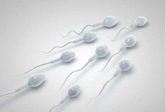 精子常规化验单怎么看图解,精子报告单怎样看结果