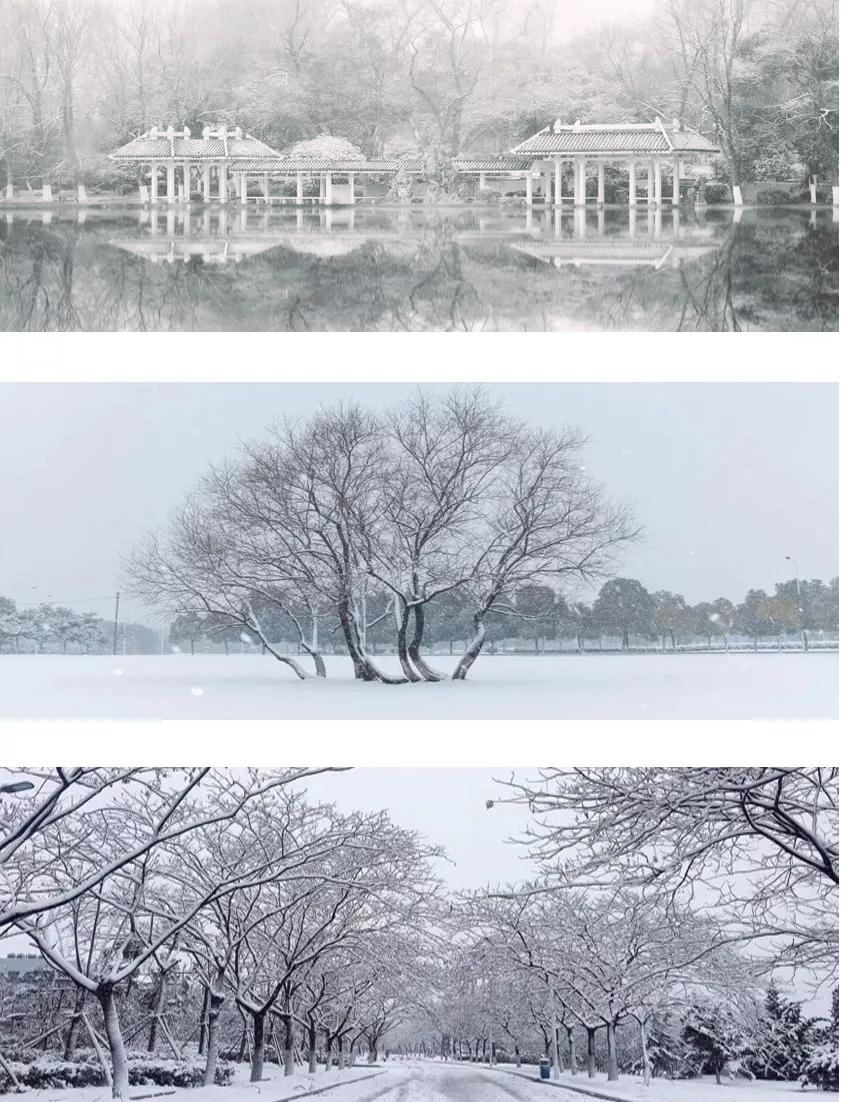 安徽合肥大学二本院校,安徽合肥工业大学