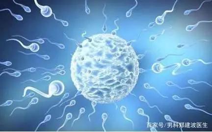 精子dna碎片率的简称,精子dna碎片一般为多少