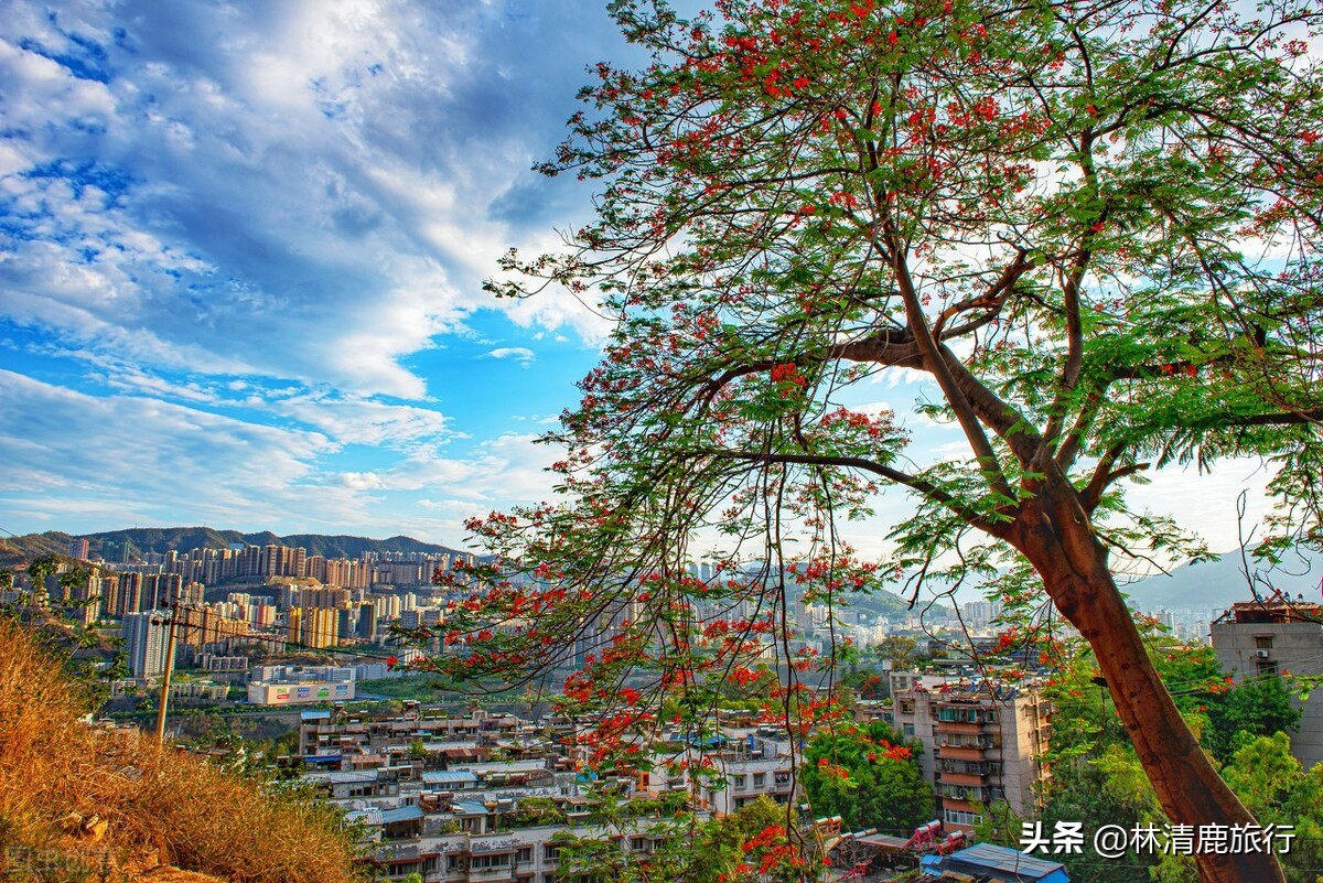 攀枝花康养胜地价格,攀枝花的康养基地冬天的价格