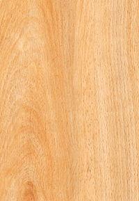 木材入门知识,进口木材的相关基础知识了解一下