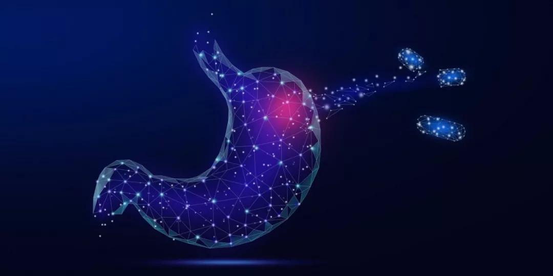 七个技巧教你如何养好肠胃,日常9个小秘诀养出好肠胃