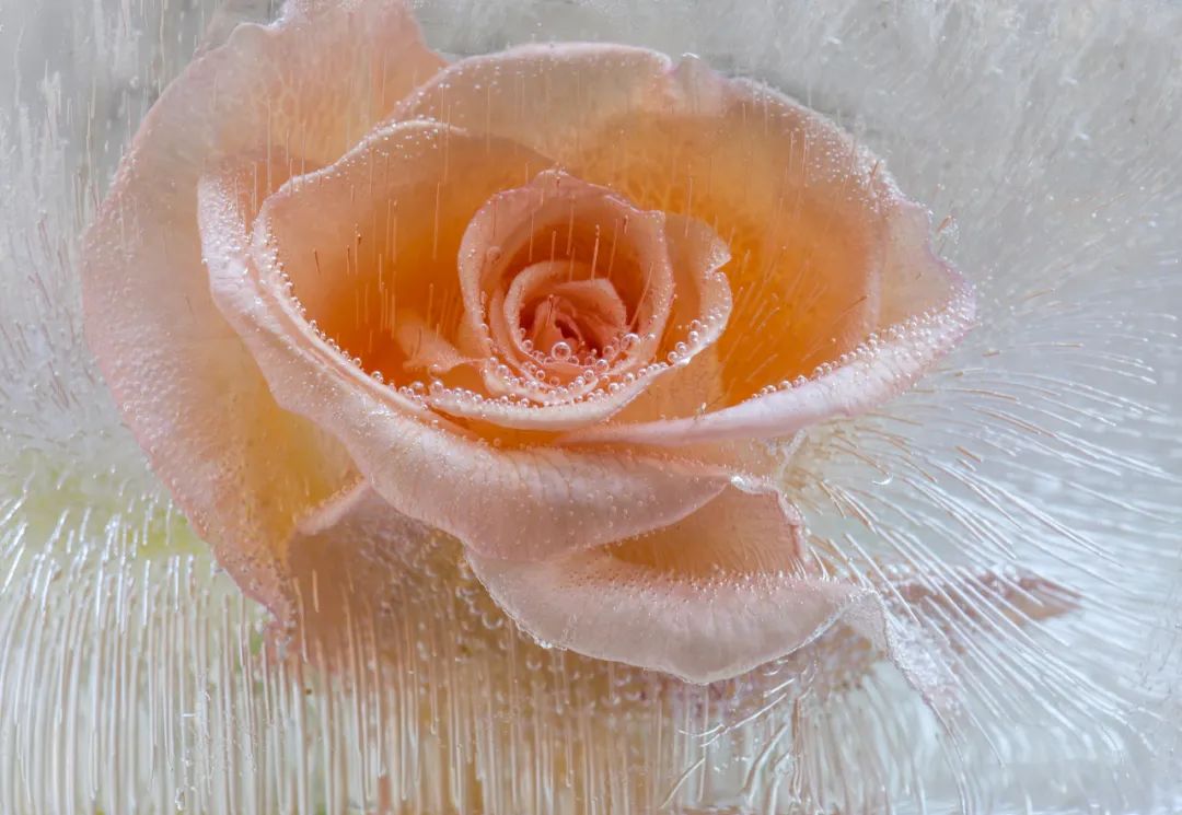 香港第14届全国摄影艺术展,第29届全国摄影艺术展览获奖名单