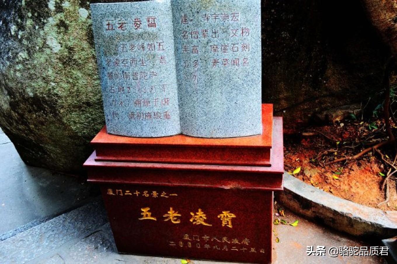 厦门海边之旅,厦门小众旅游体验