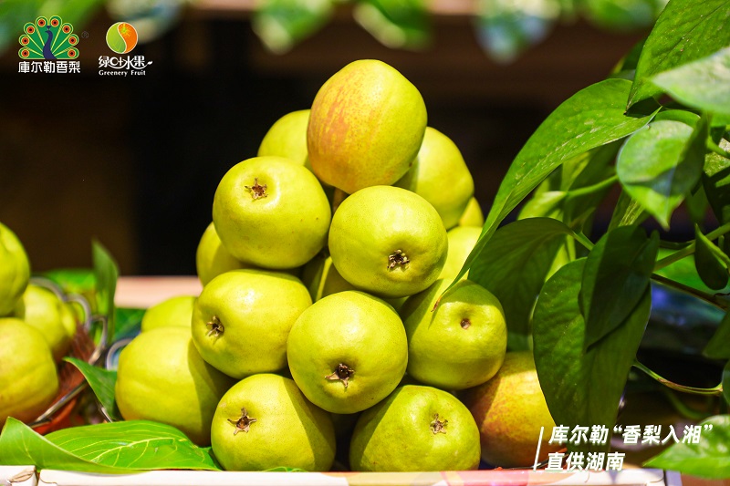 库尔勒“香梨入湘”直供湖南正式启动