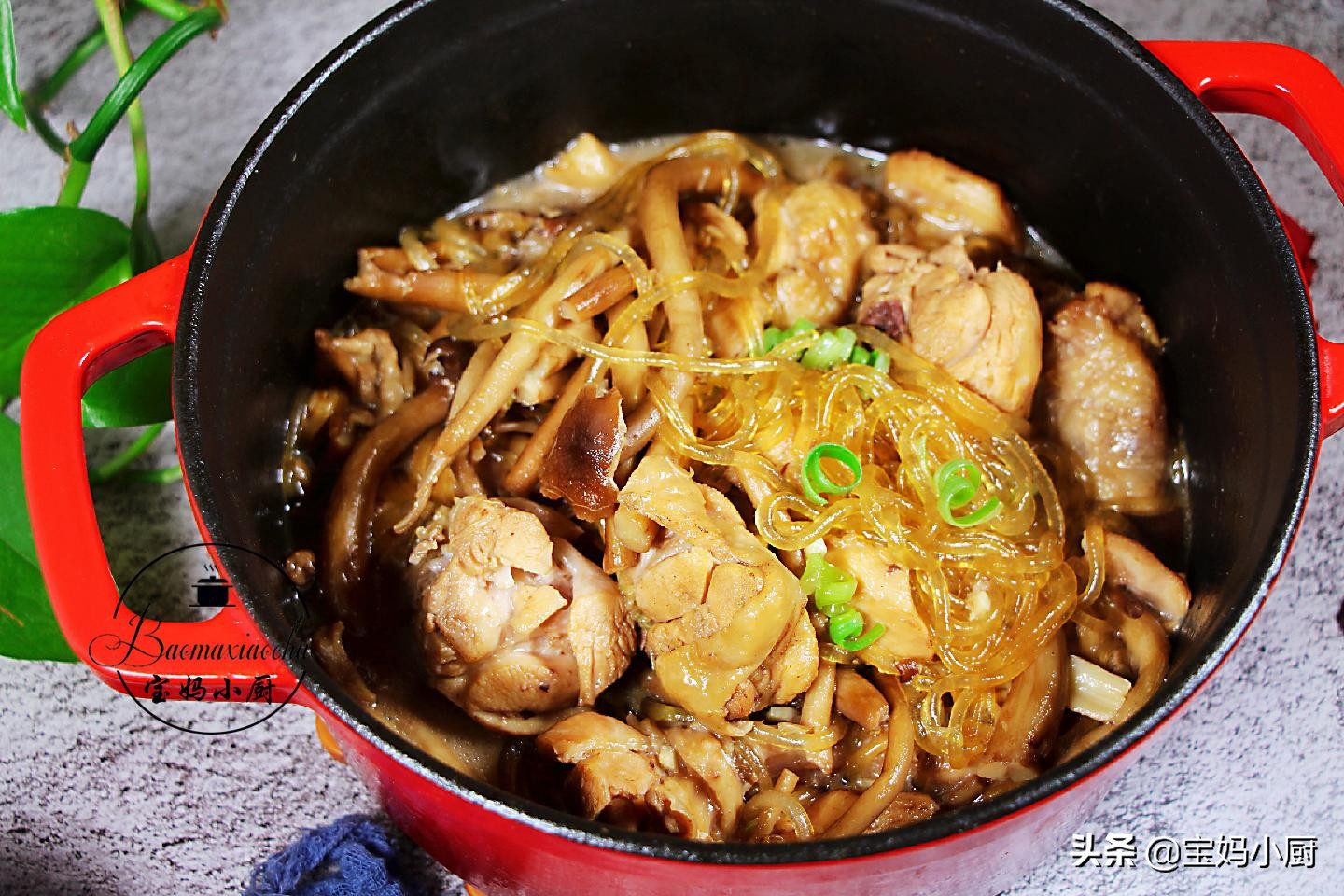 炖鸡肉不柴的做法,炖鸡肉焯水的做法