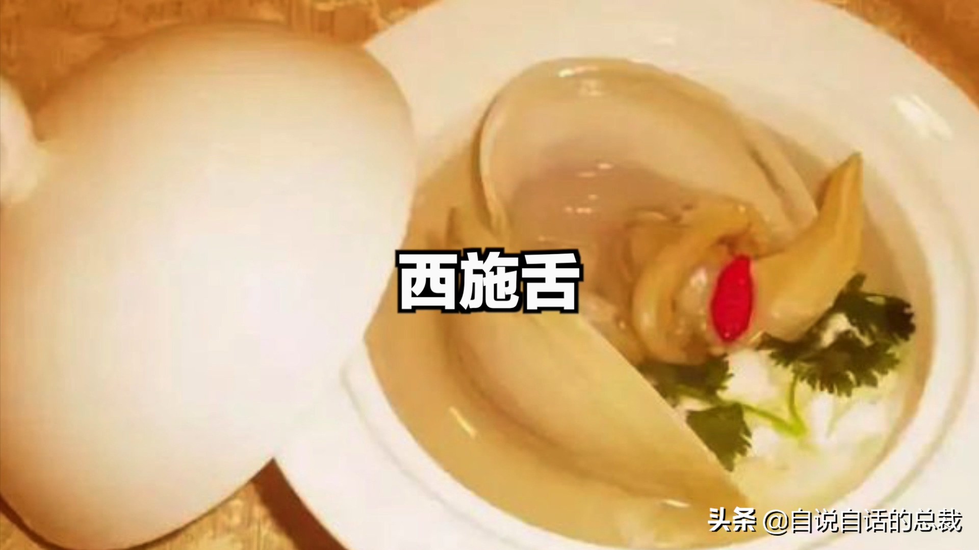 海鲜蛤蜊与蛤蜊区分,蛏子与小人蚬的区别