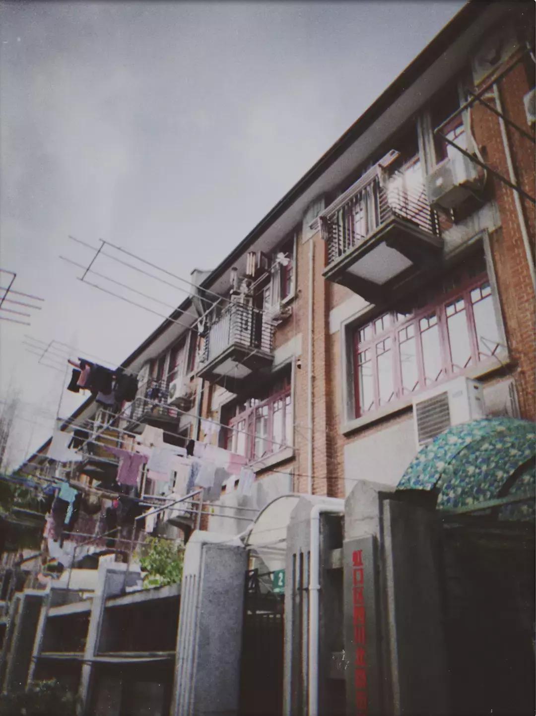 魔都徒步,魔都樱花徒步攻略