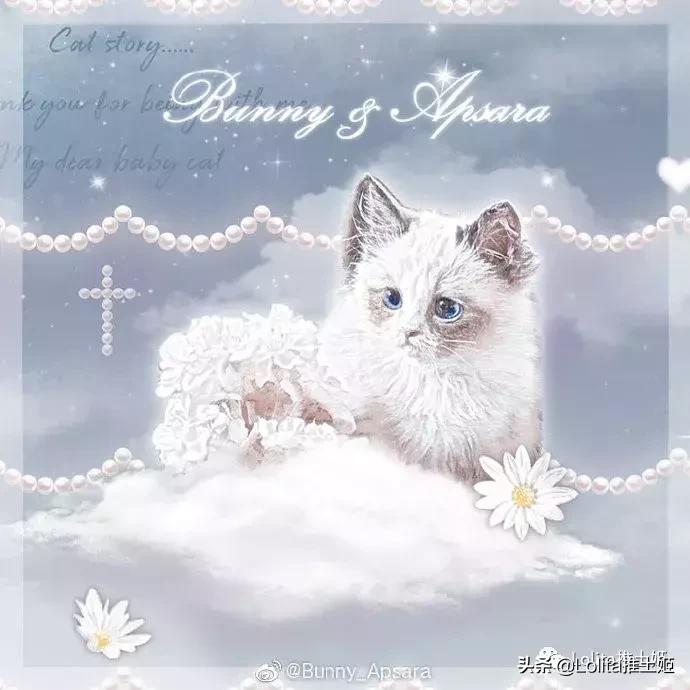 lolita撸猫,lolita撸猫猫