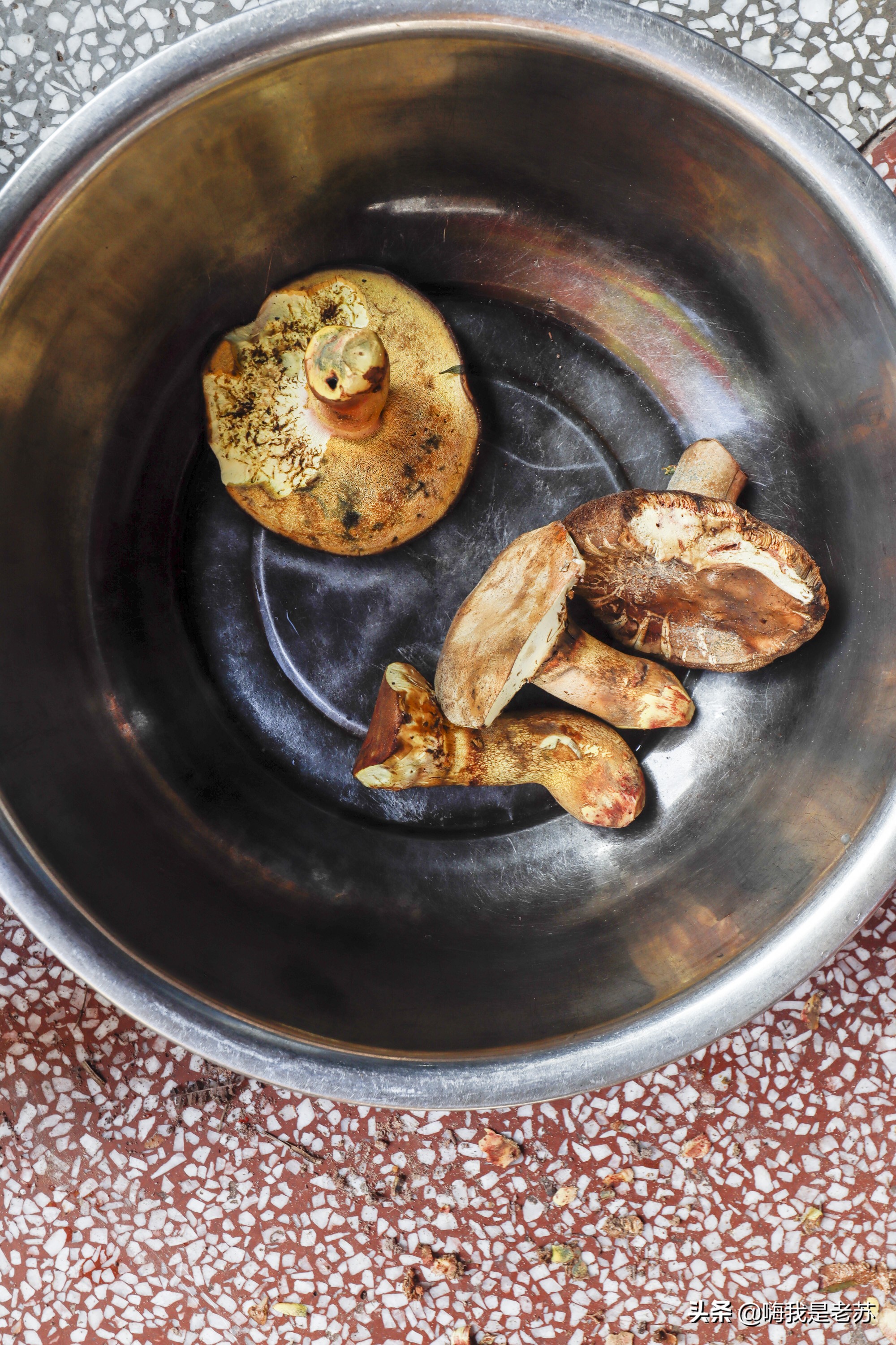 建水汽锅鸡放黑胡椒还是白胡椒,云南建水汽锅鸡怎样让汤更多