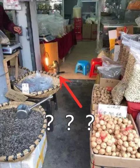 香港这家便利店的店长，靠着腮帮子走红了