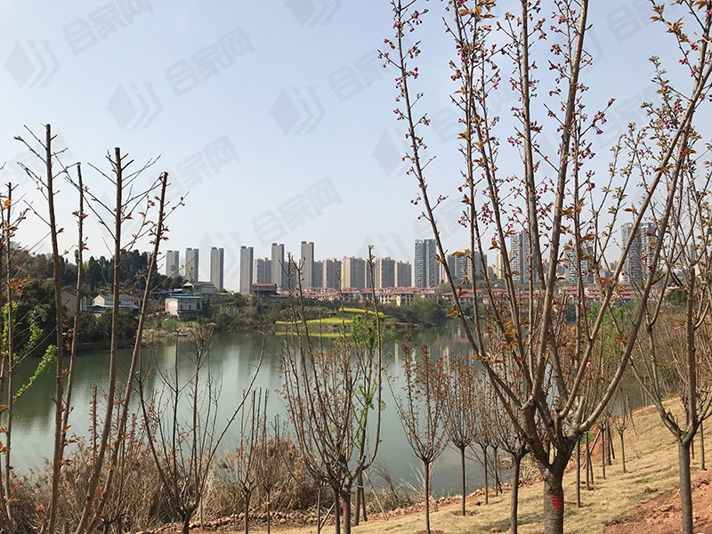 实探楼盘园林实景,山水如画宜昌楼盘周边规划