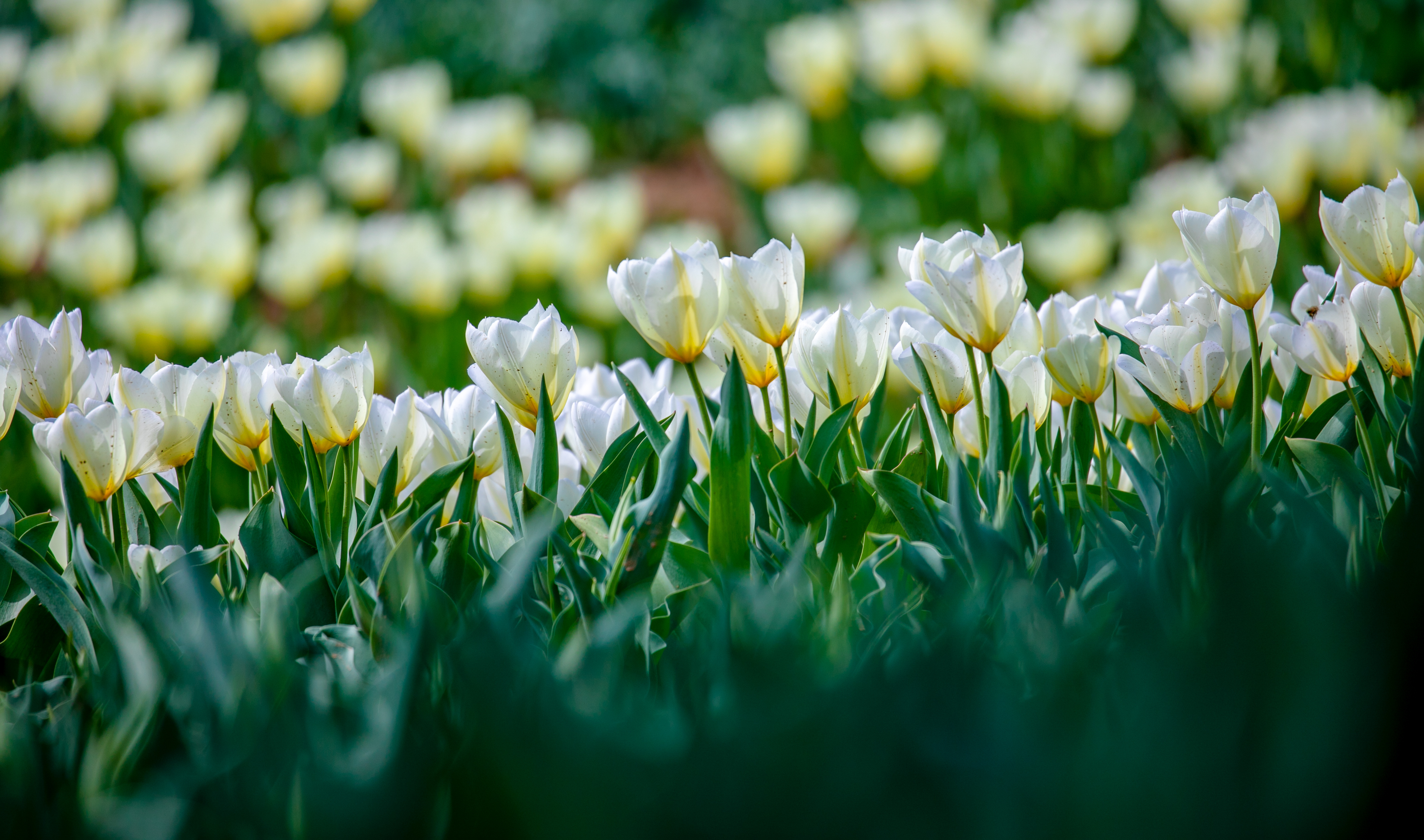 济南亲子旅游攻略二日游最佳路线,周末去哪儿亲子游济南