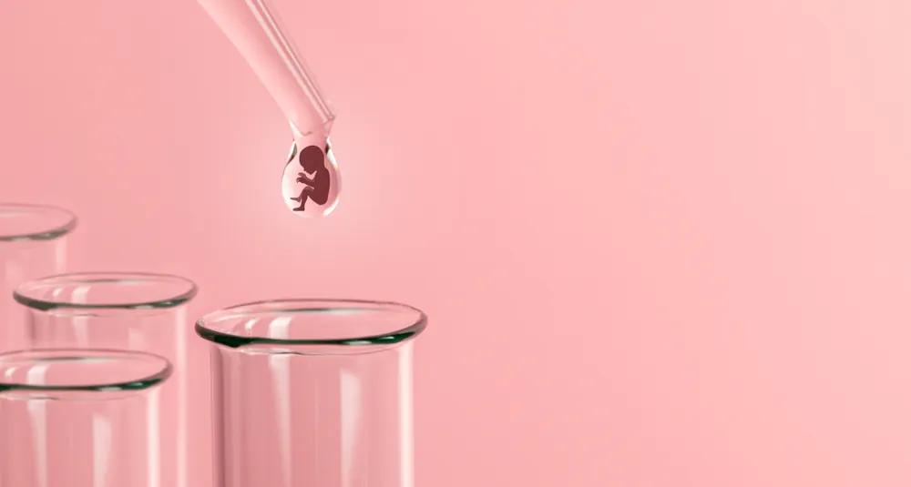 当取卵针戳进我的卵巢时，丈夫在看片取精|成为母亲