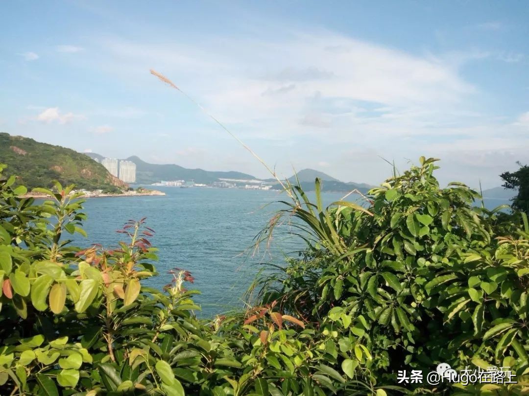 香港亲子游图文攻略图片大全,去香港亲子旅行攻略路线图片