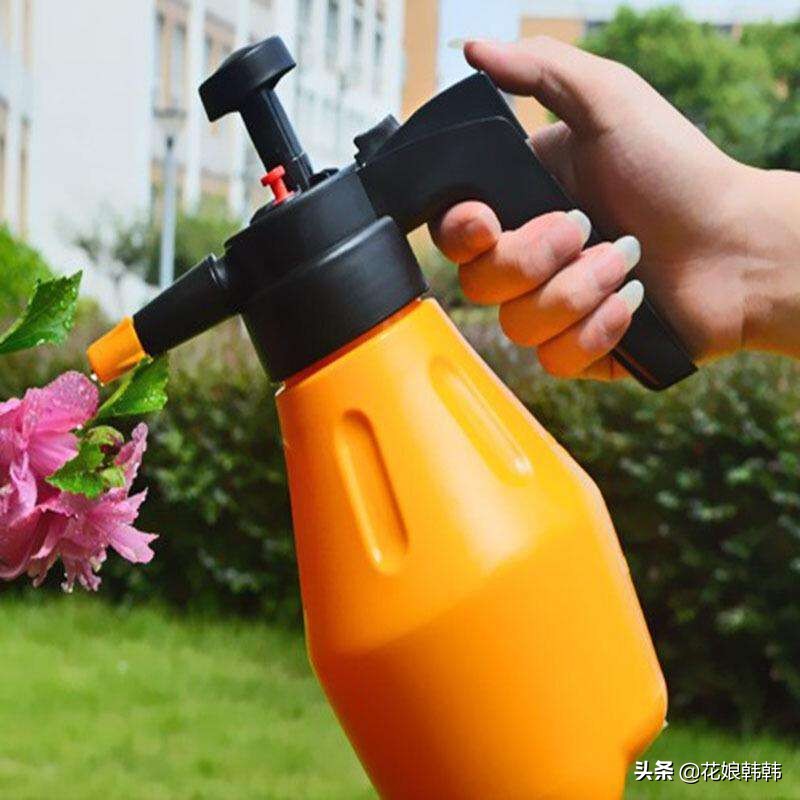 杜鹃花病虫危害大解决措施,杜鹃花有红蜘蛛病虫害图片