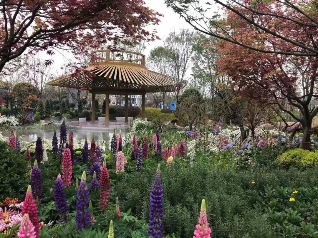 用“绿野仙踪”讲好上海故事!华建集团环境院带你感受园艺魅力