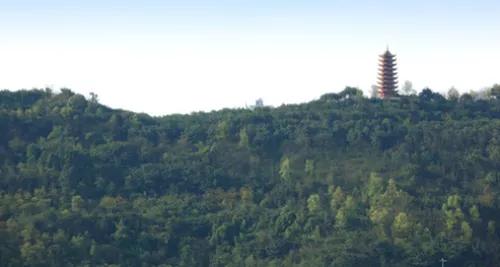 照母山讲解,照母山深度解读