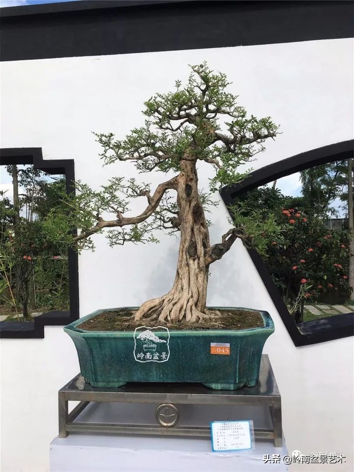 骞哥涔呬箙鐢滅敎铚滆湝,骞哥涔呬箙