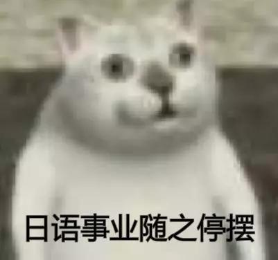 塑料日语句子,塑料日语谐音