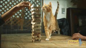 鑷粠鏈変簡鐚不鎰堜簡鎴戠殑鎳掓儼,涓轰粈涔堣姗樼尗鍗佹涔濇福