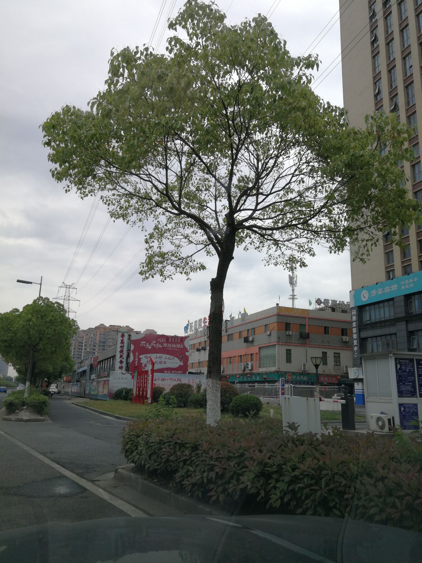 城市西进计划实施方案,江阴夏港发展规划最新消息