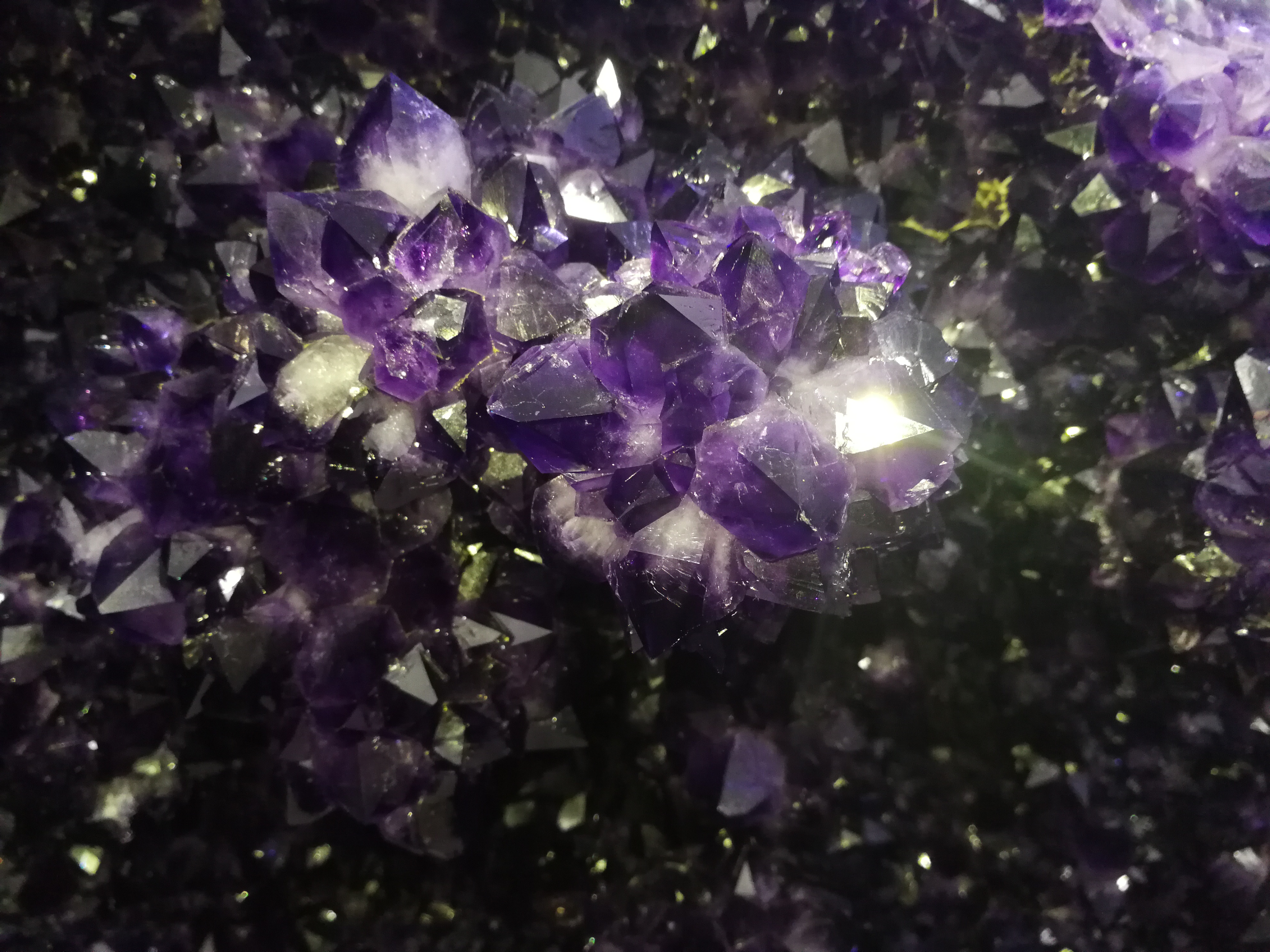 福如东海常来东海,福如东海在哪里