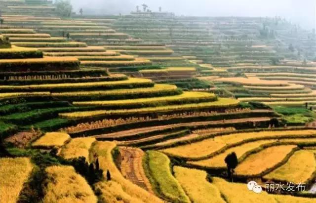 宁波到庆元高铁什么时候可以开通,宁波直达黄山的高铁何时开通