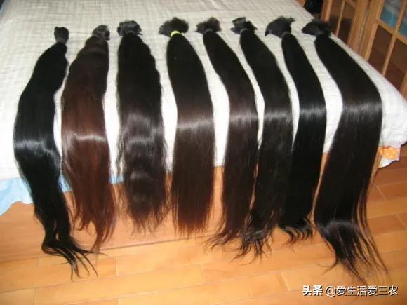 理发店里的碎头发回收有什么用呢,碎了的短头发有什么作用