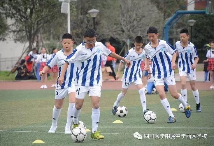 成都市试点5+4学校有哪些,成都市特长学校小学