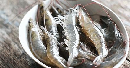 大虾活的怎么挑虾线,大虾挑虾线的正确方法
