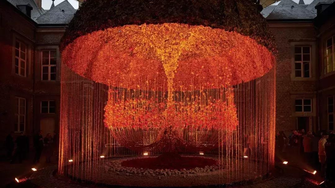 美到窒息！杭州这场园艺界的盛典，懂生活的人必须去！