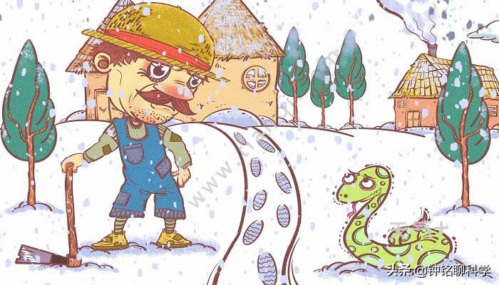 蛇冬眠挖出来是不是没攻击性,蛇冬眠在生物上是什么行为