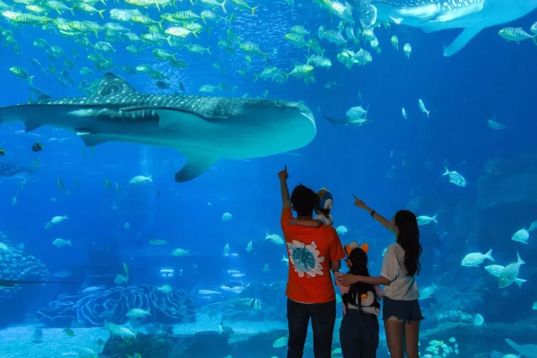 上海迪士尼乐园和长隆哪个好玩,上海迪士尼乐园和珠海长隆的区别