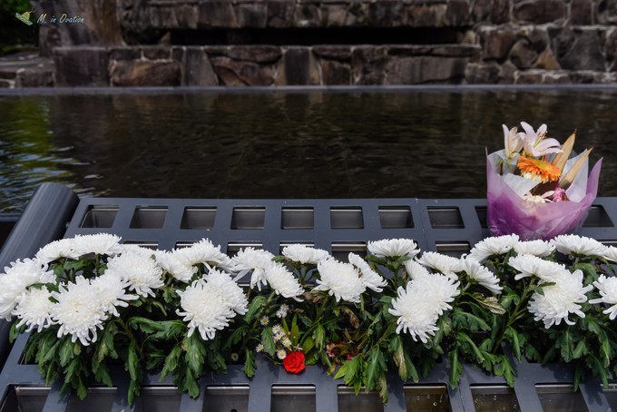 海洋光谱号到日本玩什么,海洋光谱号一日游攻略