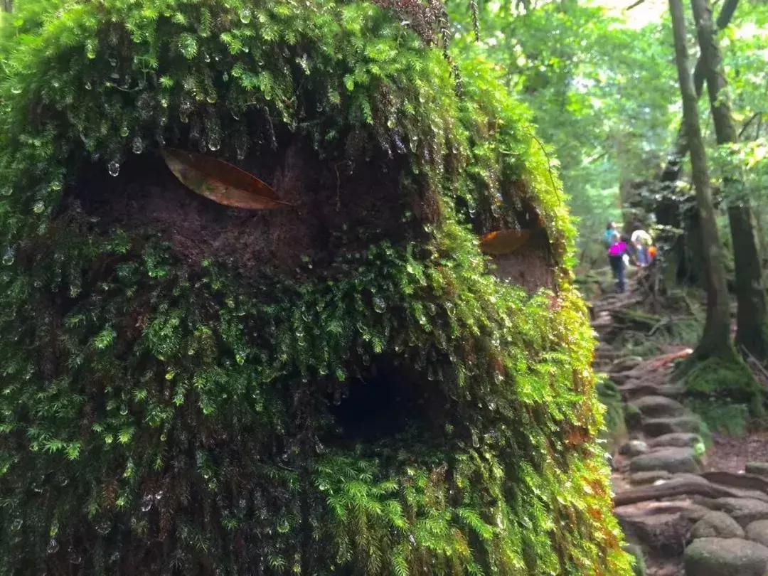 旅行六年,旅行就是为了体验不同的可能性