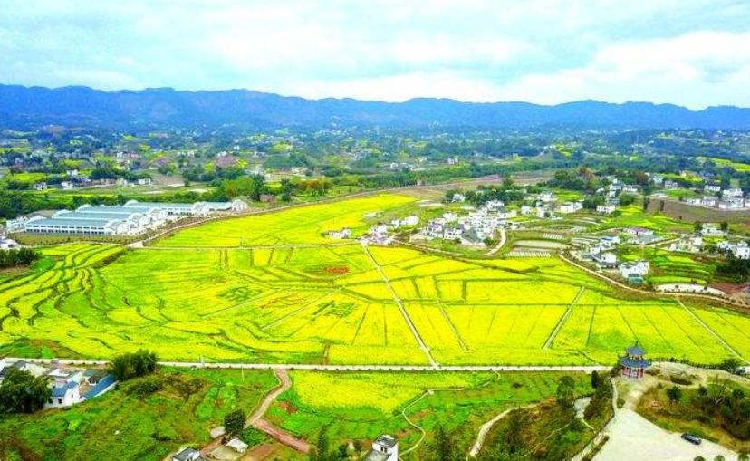 泸州高铁站发展前景,泸州有渝昆高铁