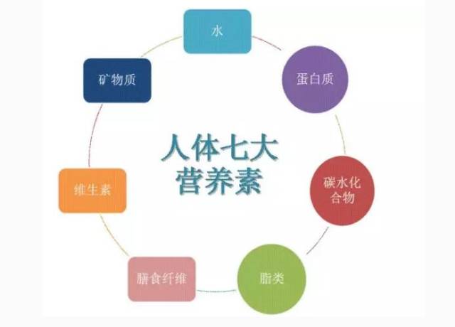 吃奶粉dha需要额外补充吗 (宝宝需要额外补充dha吗)