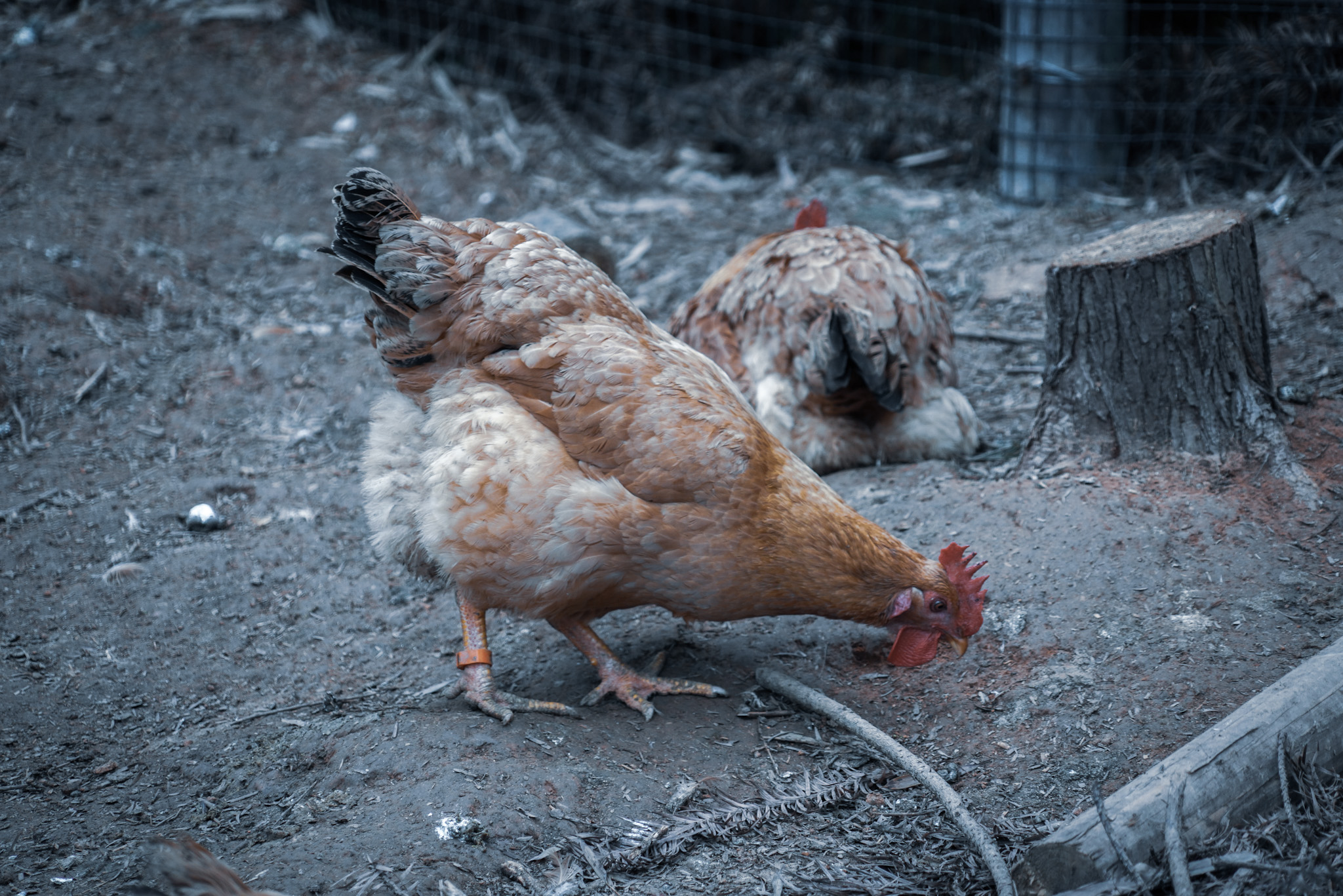 郴州仰天湖民宿多少钱一晚,郴州民宿一晚多少钱